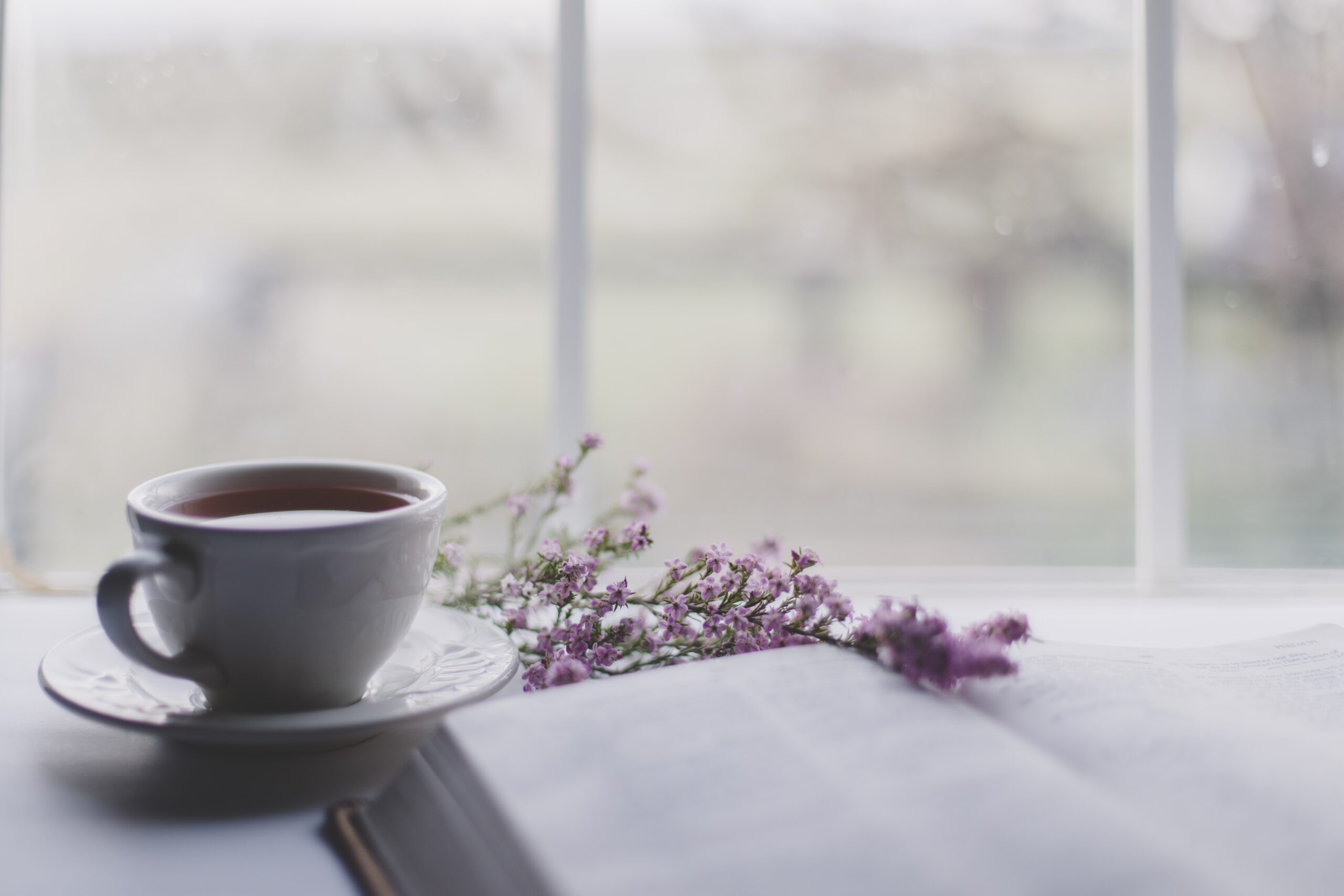 Öppen föreläsning: Det homeopatiska akutapoteket, del 2, med Birgitta Williams
